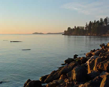 This photograph is a view from the rip-rap shoreline at Station Camp
towards Cape Disappointment to the west.