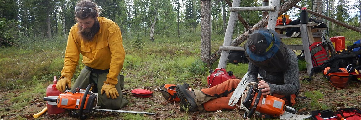 Two fire staff personnel clean, tune and sharpen chainsaws near a cabin.