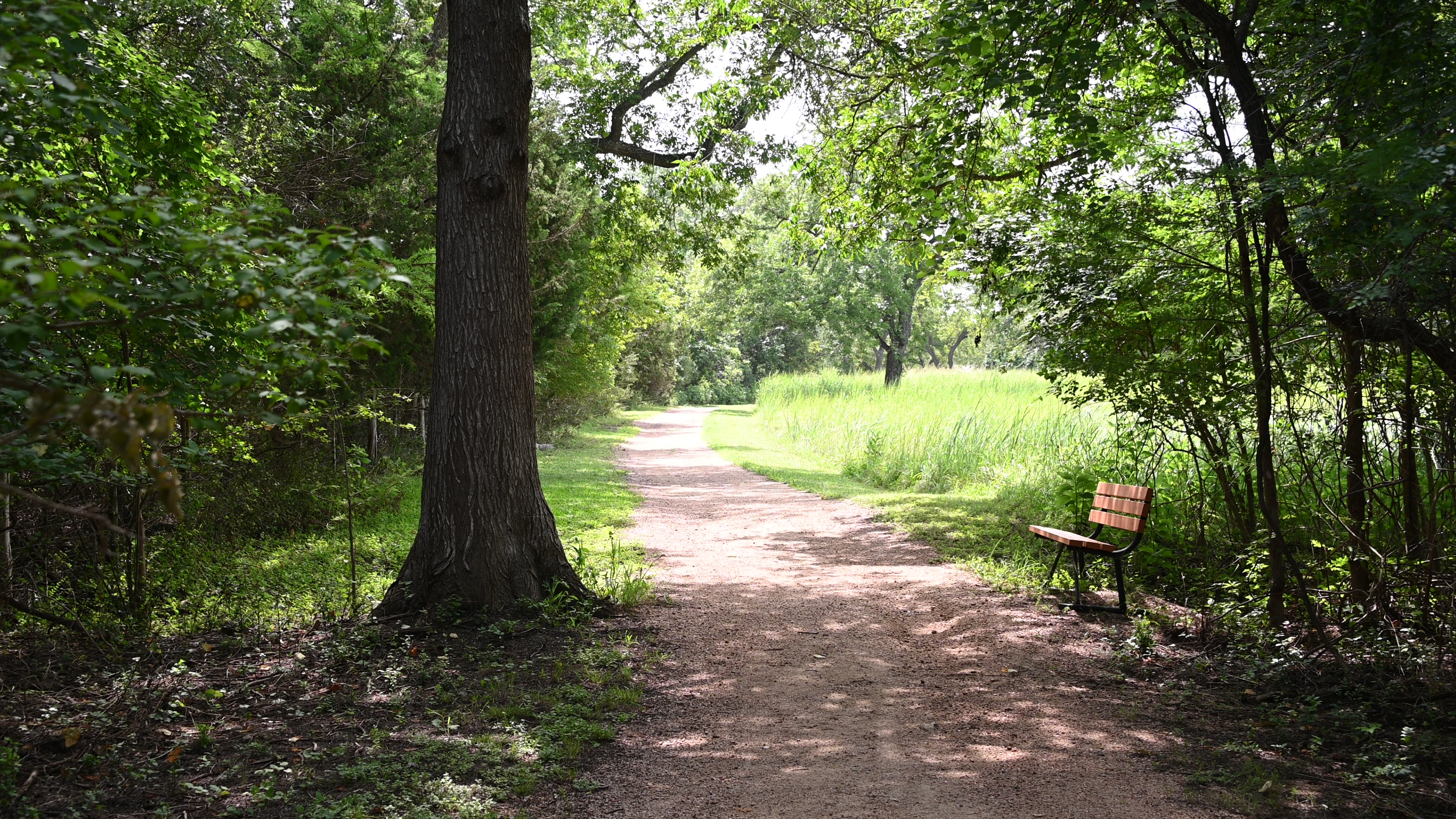 Settlement trail and bench