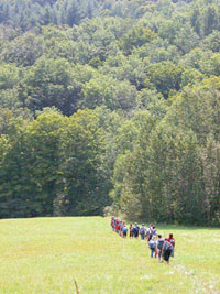 Seen from a distance, a group of students walks single-file through a grassy pasture toward green hills beyond.