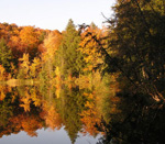 Autumn scene of deciduous and evergreen trees perfectly reflected in the still water of the Pogue. Photo by Nora Mitchell.