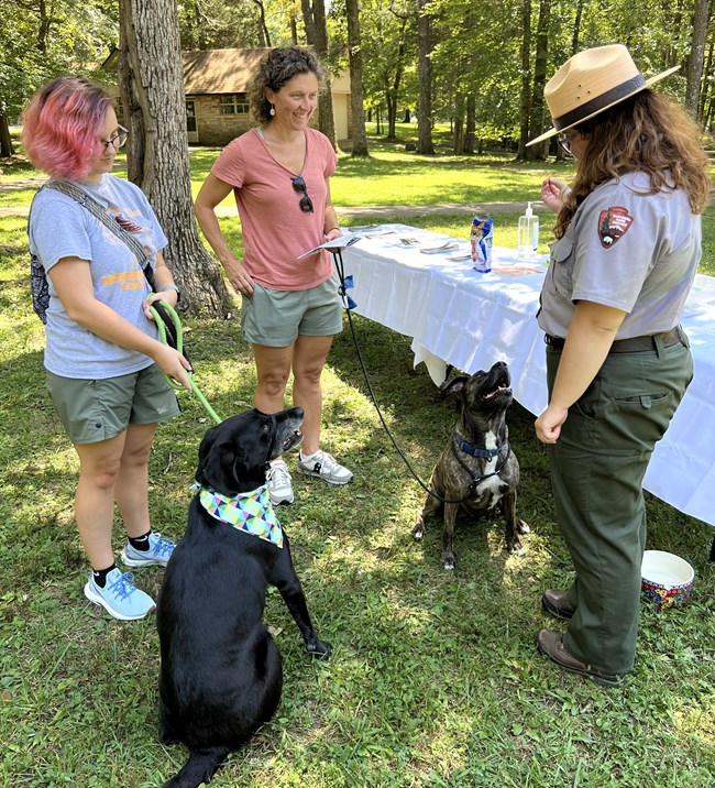 Three humans and two dogs stand or sit near an information table in a forested area.