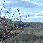 Green River Valley view