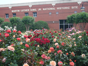 Back view of Rose Garden
