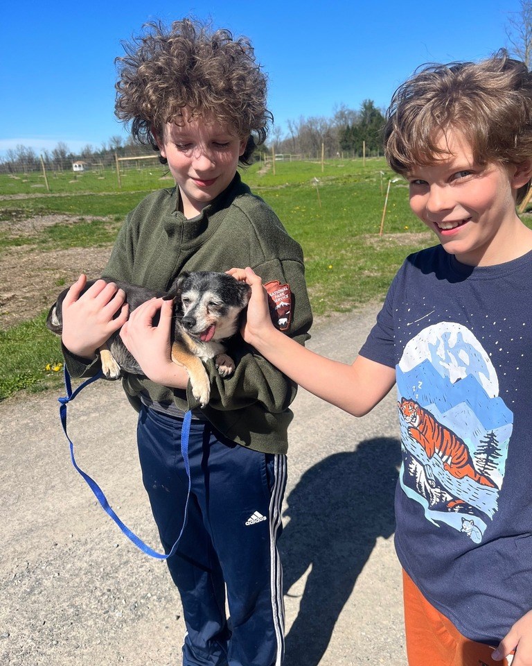 Trixie is carried around the park by two adoring fans.