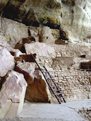Step House
