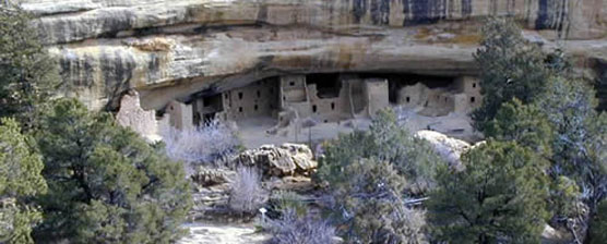 View of Spruce Tree House