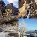 Collage of seasons at Mesa Verde National Park