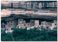 View of Spruce Tree House