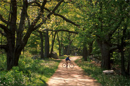 Battle Road Trail