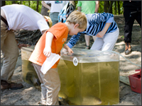 Child playing with fish in tank on the banks of the Mississippi River during BioBlitz 2009.