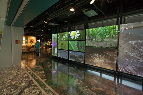 A large video wall depicting scenes around the park greet visitors to the Mississippi River Visitor Center.