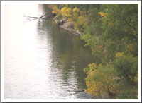 Overhead shot of the Mississippi Gorge Regional Park.