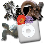Mojave Podcasts