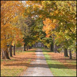 The Thomas Farm lane in autumn