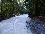 Flood waters obscure paved road.