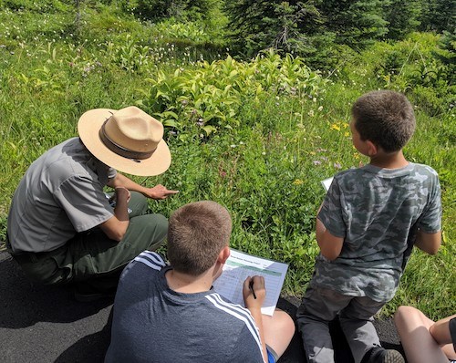 A crouching ranger points out wildflowers to several kids kneeling on the ground.