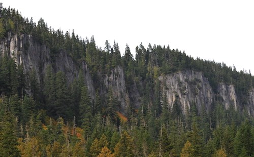 Steep cliffs of rock columns form a ridge above dense forest.