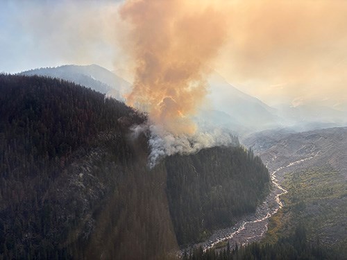 Brownish-white smoke billows up fron a forest on a steep slope above a river valley.