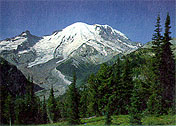 Subalpine fir and ridges frame the view of Mount Rainier from the north.