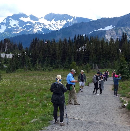 Several people walk along a gravel path through a meadow.