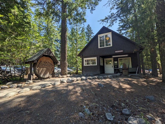 A brown cabin and large slice of a tree trunk sit on a small hill surrounded by trees