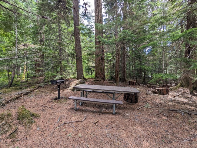 A single grill and picnic table with extension in the woods