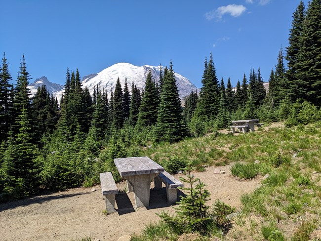Two picnic tables on hard packed dirt are surrounded by sparse low plants. Mount Rainier peeks through evergreen trees in the background.