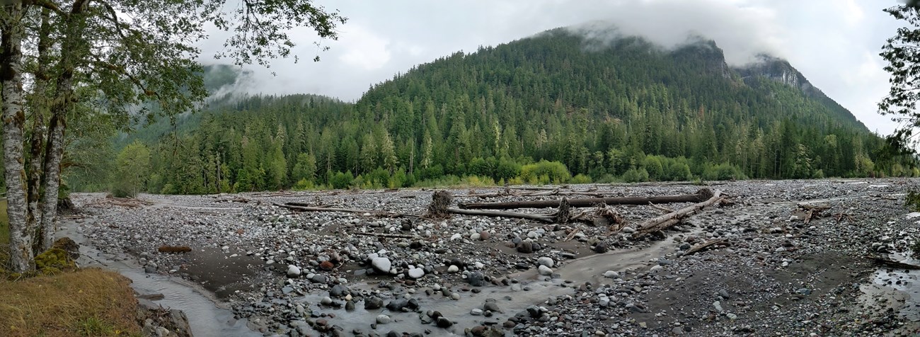 A wide image of the Carbon River Valley