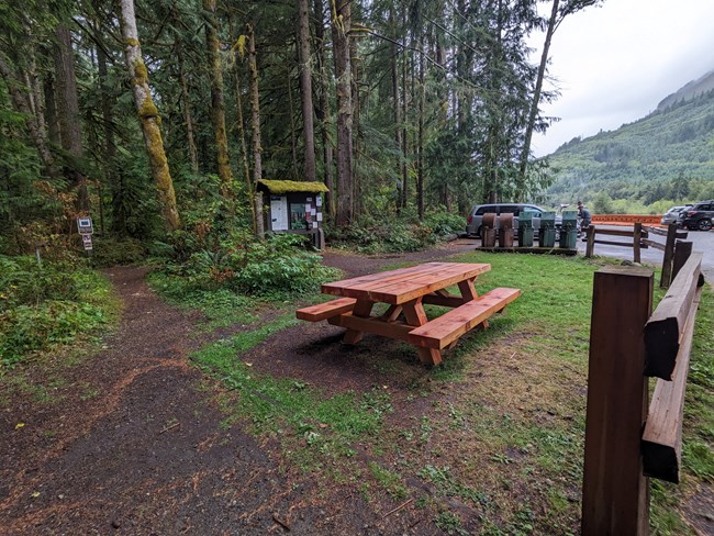 A wooden picnic table in a clearing at the Carbon River Road Parking
