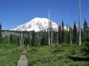 Trail to Bench and Snow Lakes.