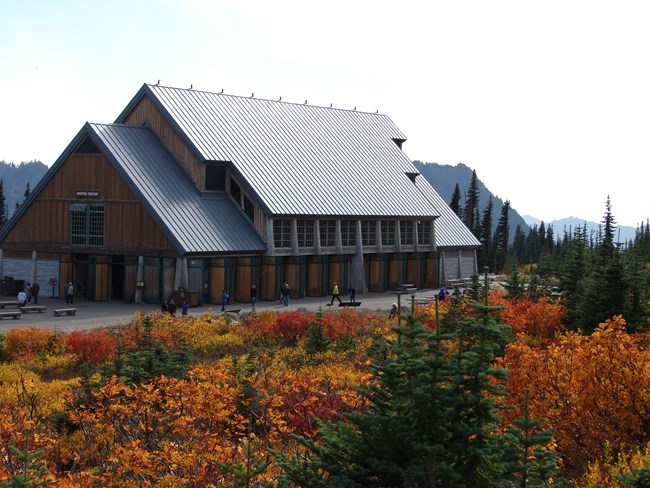 A large toffee-colored building with peaked roof is in the distance. The meadow in front of the building has many shrubs with yellow, red, and orange leaves.