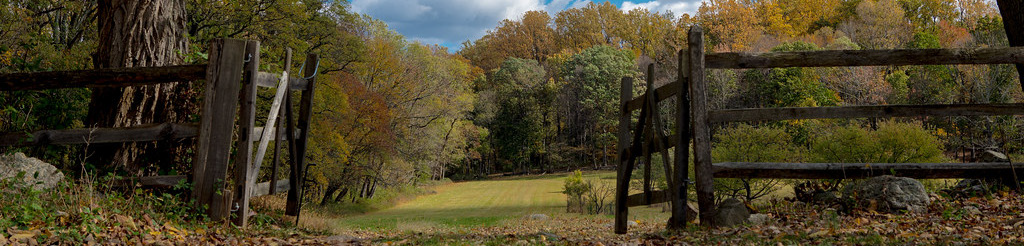 View of a grassy clearing in a forest at Jockey Hollow framed by a split-rail wooden fence, with colorful autumn trees in the background. This area is part of the proposed Penn Line Mutiny Trail at Morristown National Historical Park.