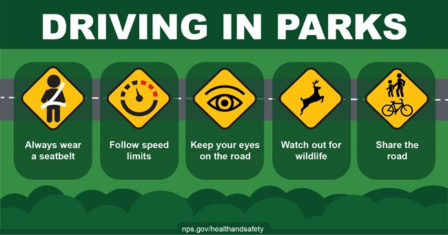 Driving in parks infographic using icons in the shape of a yellow diamond with the following safety messages:  Always wear a seatbelt. Follow speed limits. Keep your eyes on the road.  Watch out for wildlife. Share the road.