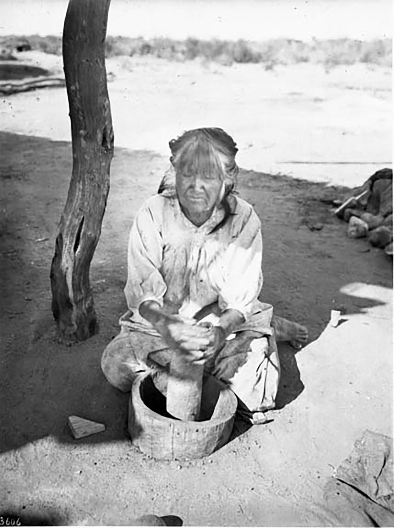 Pima Indian woman, Si-Rup, pounding mesquite beans in a wooden mortar