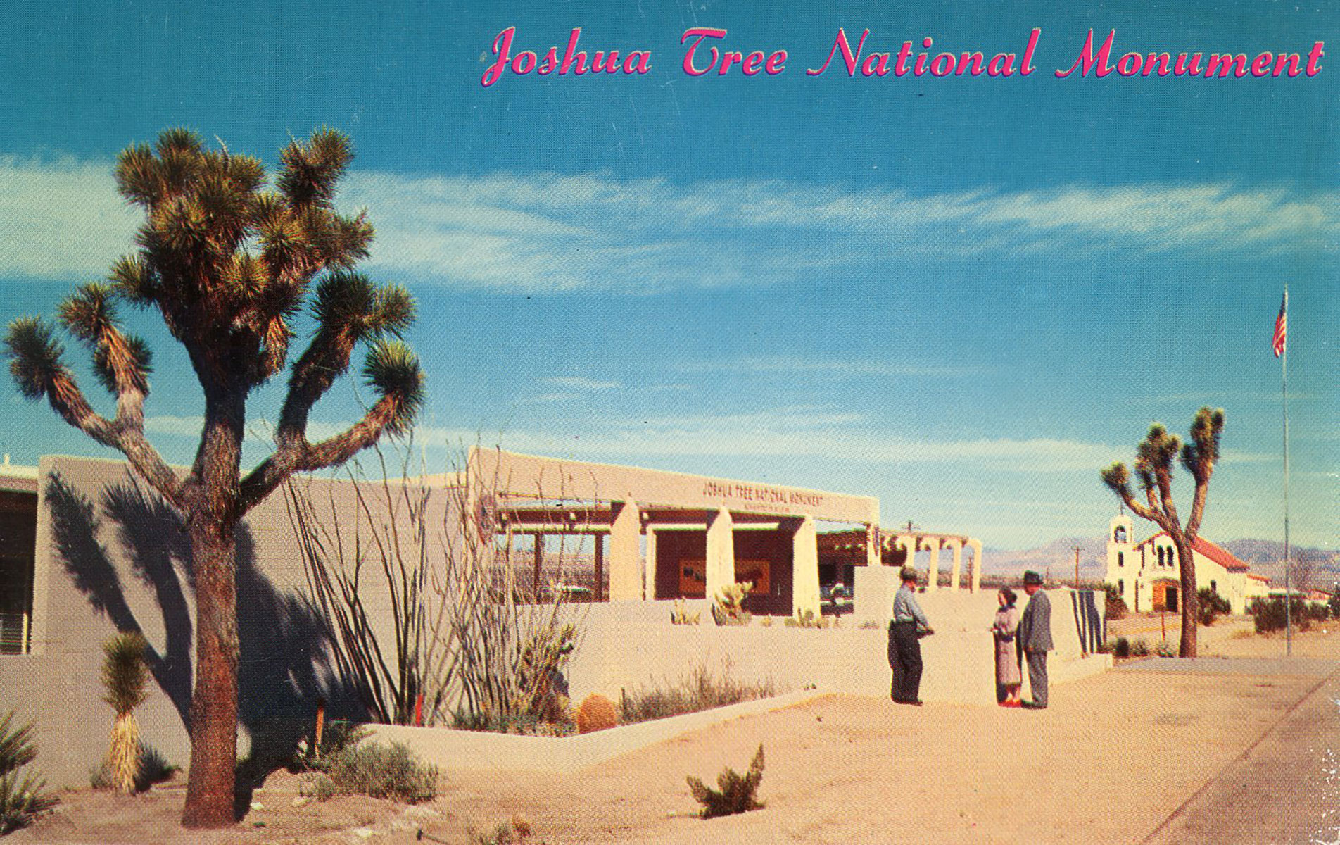 Joshua Tree National Monument” Postcard