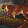 Image of painting titled Cougar