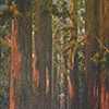 Image of painting titled Sequoia National Park, California