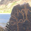 Buffalo Eddy 2 Petroglyphs