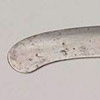 Thumbnail Image of Dinner Knife