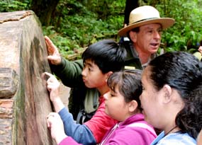 Park Ranger with School Group at Muir Woods National Monument
