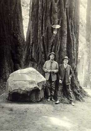 Kent and Mather standing at the base of Pinchot tree.