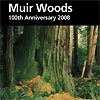 Muir Woods Brochure