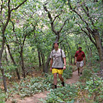 Explore the Area