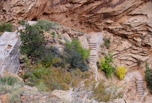 The steep stairs that make up the Aspen Trail.