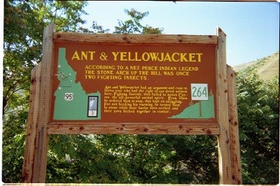 A brown interpretive sign with the words 'Ant and Yellowjacket' on it.