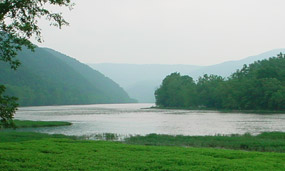 View of New River riparian zone