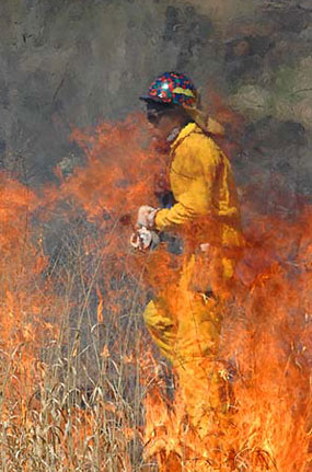 Firefighter on priscribed burn surrounded by flames.