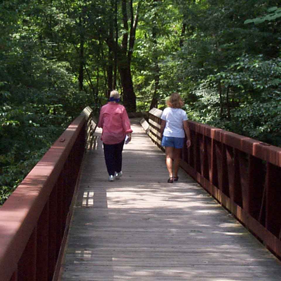 park visitors on boardwalk