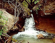 Berry Falls